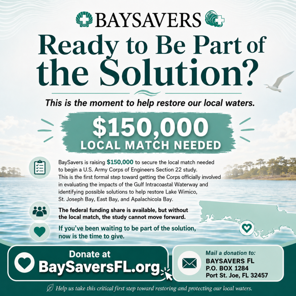 We are urgently asking for support NOW because the U.S. Army Corps of Engineers could come back with the federal portion of the funding at any time. If that happens and Baysavers does not already have the $150,000 local match secured, we risk losing the federal funding opportunity and the study will NOT move forward.

In other words, the sooner we raise the local match, the better positioned we are to say "yes!" when the Corps is ready. This Section 22 study is the critical first formal step toward getting the Corps officially engaged in evaluating the impacts to our connected water systems and identifying possible restoration solutions.

We truly appreciate any support you are able to provide, and we are encouraging those who want to help to donate as soon as possible.

Donations can be made at: www.BaysaversFL.org or at our Post Office Box 1284, Port St. Joe, FL 32457

Thank you again for caring about our local waters and for helping us move this important effort forward!